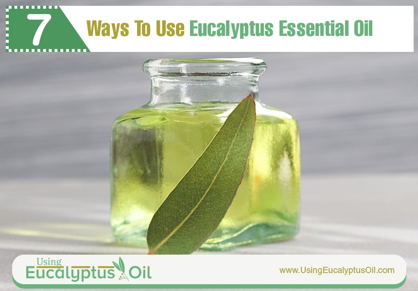  benefits of eucalyptus oil